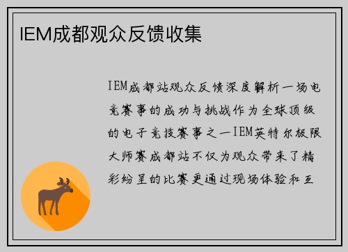 IEM成都观众反馈收集