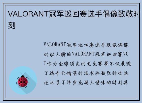 VALORANT冠军巡回赛选手偶像致敬时刻